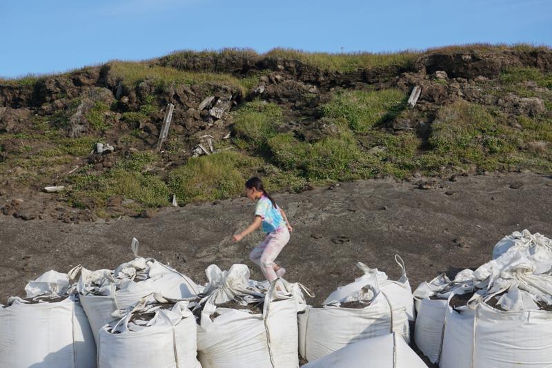 A girl plays on Aug. 2 on the sand-filled SuperSacks lined up at Utqiagvik's beach. The sacks are used to try to protect the permafrost bluff from ocean waves that speed erosion. The thaw has exposed beams and artifacts from dwellings used in Utqiagvik's past. (Photo by Yereth Rosen/Alaska Beacon)